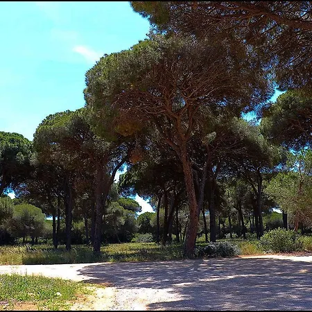 別荘 Zara I コニル・デ・ラ・フロンテラ