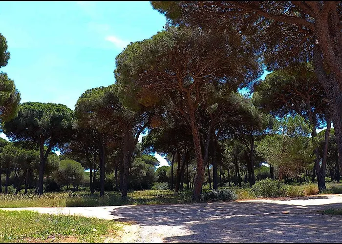 Дом отдыха Zara I Кониль-де-ла-Фронтера